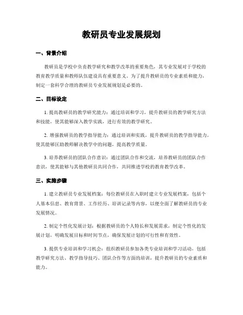 教研员专业发展规划