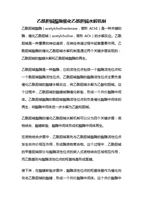 乙酰胆碱酯酶催化乙酰胆碱水解机制
