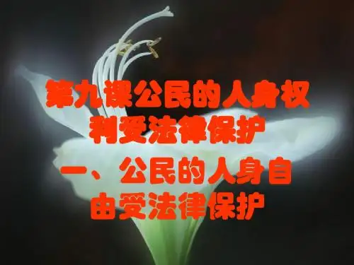 八年级政治公民的人身自由受法律保护