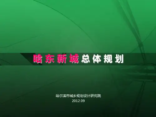 哈尔滨政府关于大哈东地区的规划