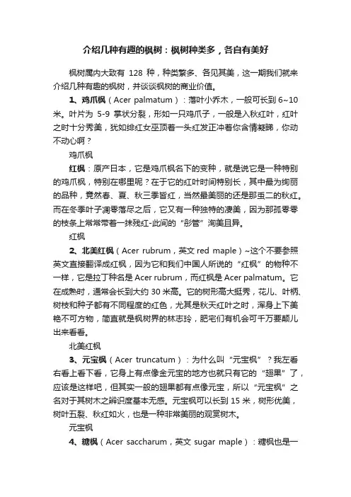 介绍几种有趣的枫树：枫树种类多，各自有美好