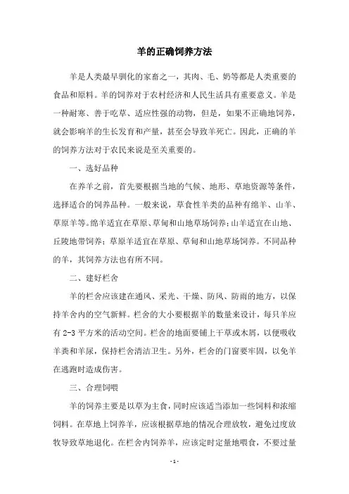 羊的正确饲养方法