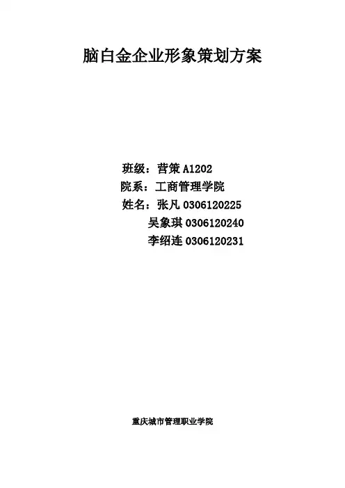 脑白金企业形象策划培训课件