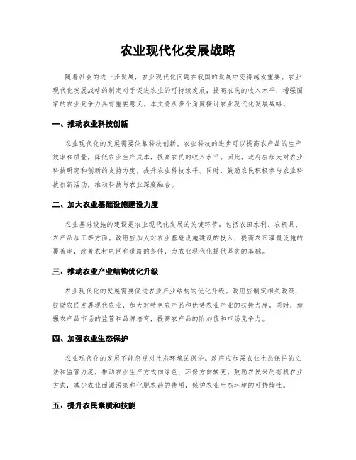 农业现代化发展战略