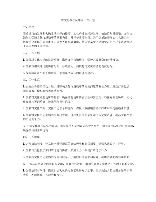 市文化执法队年度工作计划