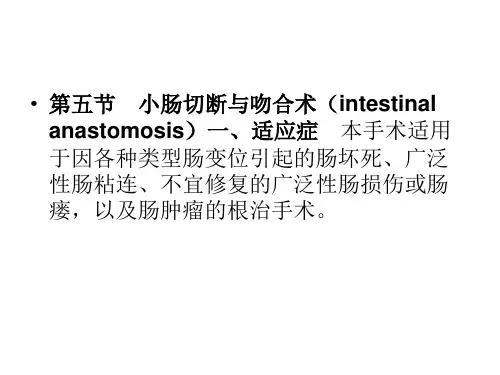 十章腹部手术课件