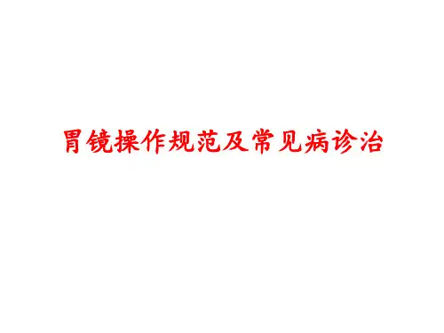 胃镜操作规范及常见病诊治