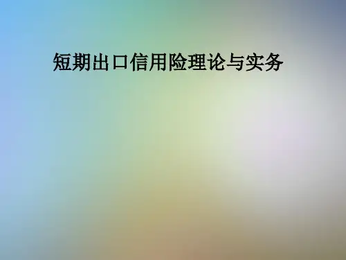 短期出口信用险理论与实务