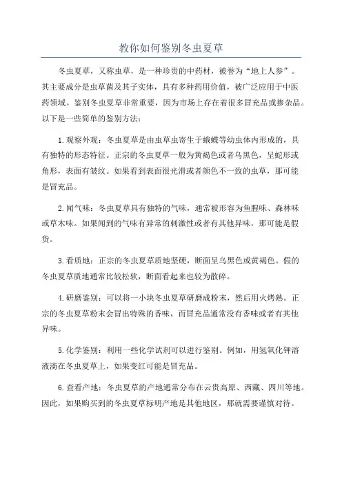 教你如何鉴别冬虫夏草