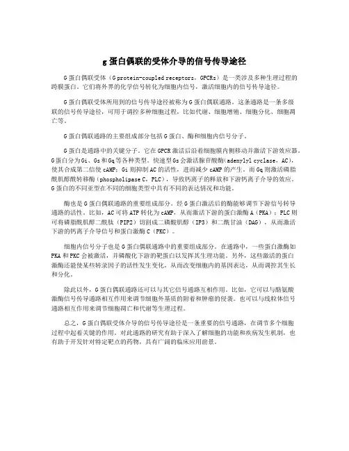 g蛋白偶联的受体介导的信号传导途径