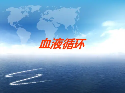生理学之血液循环