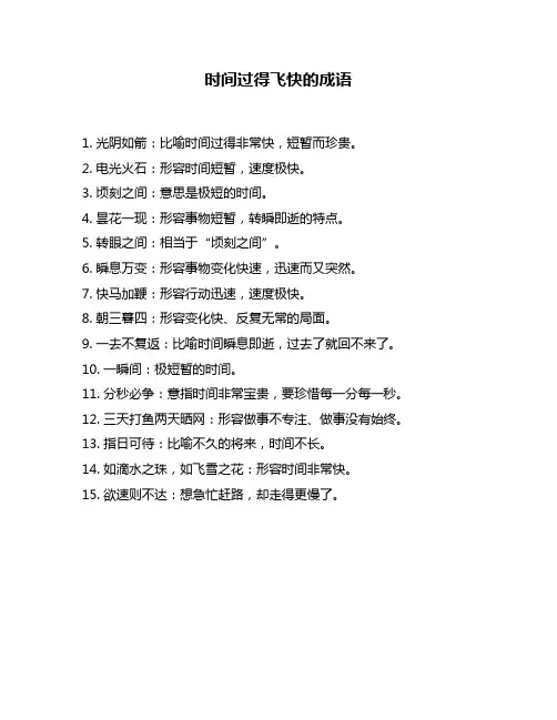 时间过得飞快的成语