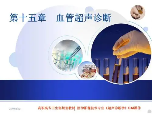 十五血管超声诊断PPT课件