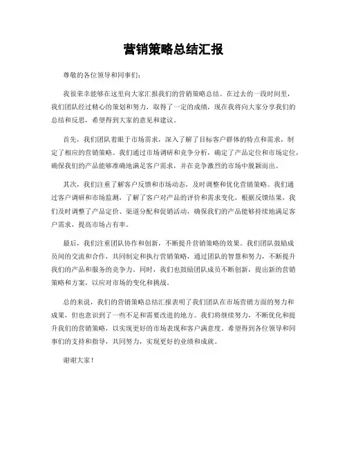 营销策略总结汇报