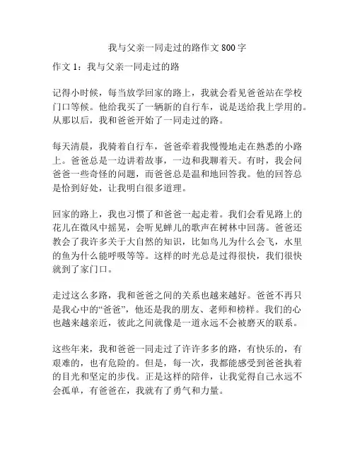 我与父亲一同走过的路作文800字