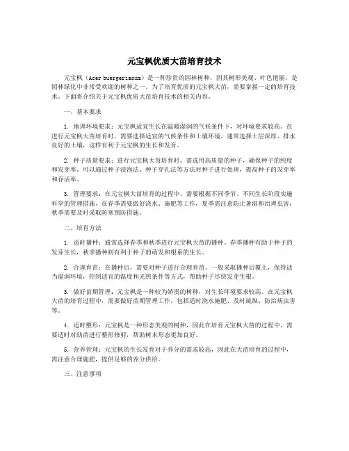 元宝枫优质大苗培育技术