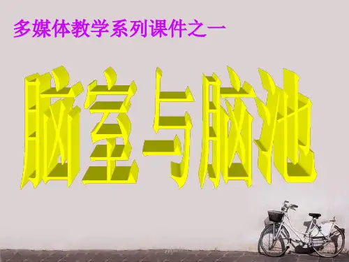 脑室与脑池  ppt课件
