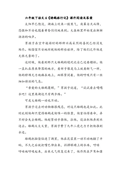 六年级下语文6《骑鹅旅行记》课外阅读及答案