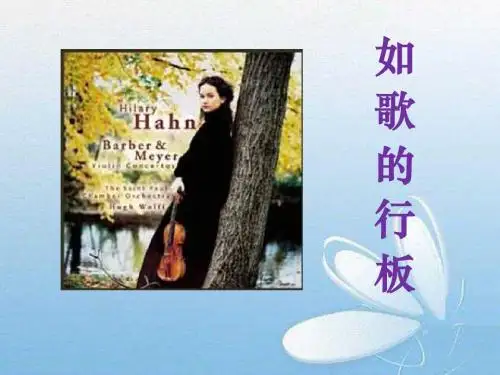 《如歌的行板》PPT课件4