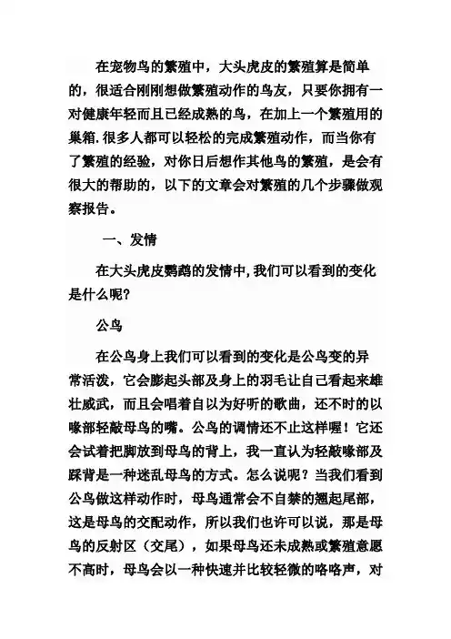 大头虎皮鹦鹉的繁殖