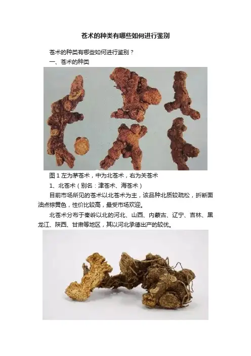 苍术的种类有哪些如何进行鉴别