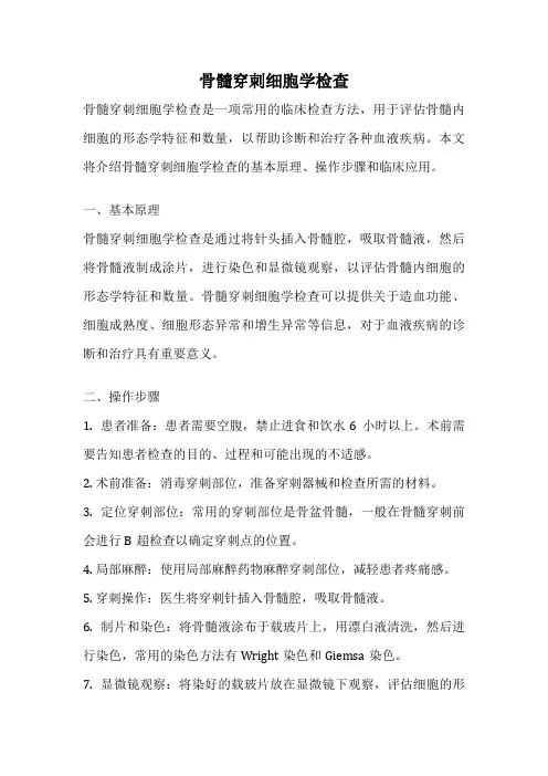 骨髓穿刺细胞学检查