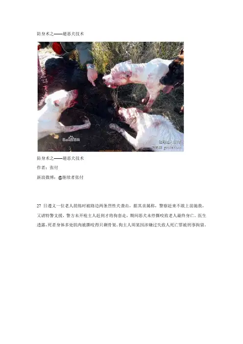 防身术之——避恶犬技术