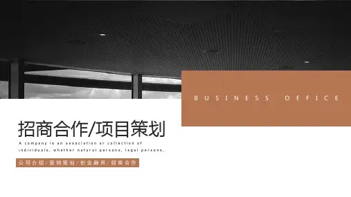 简约招商合作项目计划书ppt模板