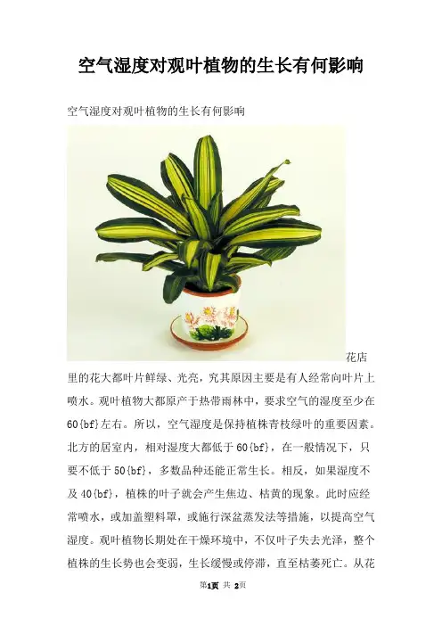 空气湿度对观叶植物的生长有何影响