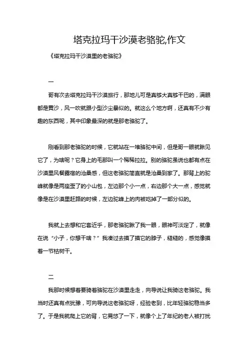 塔克拉玛干沙漠老骆驼,作文