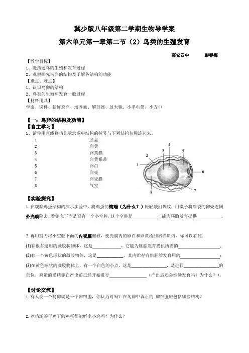 第二节动物的生殖发育