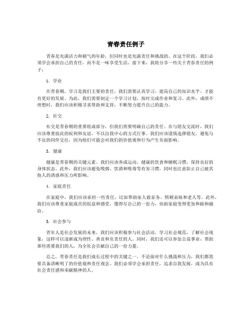 青春责任例子
