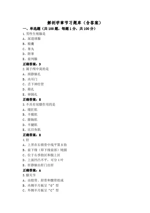 解剖学章节习题库(含答案)
