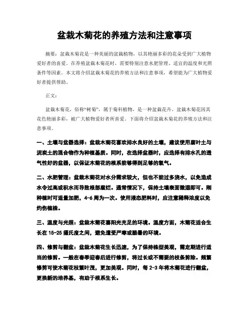 盆栽木菊花的养殖方法和注意事项