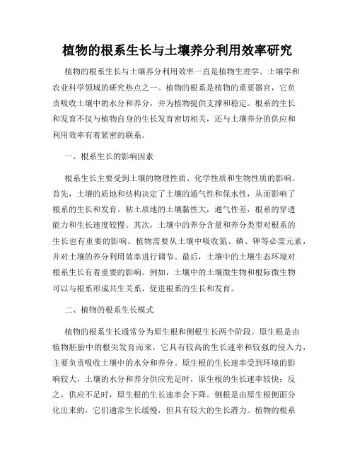 植物的根系生长与土壤养分利用效率研究