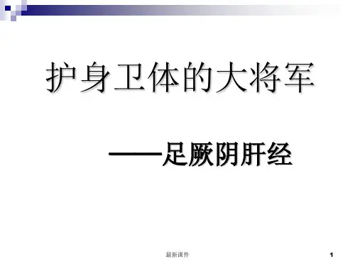 胆经肝经ppt课件