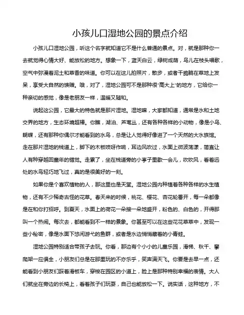 小孩儿口湿地公园的景点介绍
