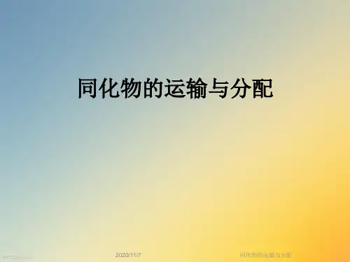 同化物的运输与分配