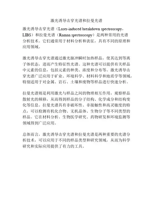 激光诱导击穿光谱和拉曼光谱