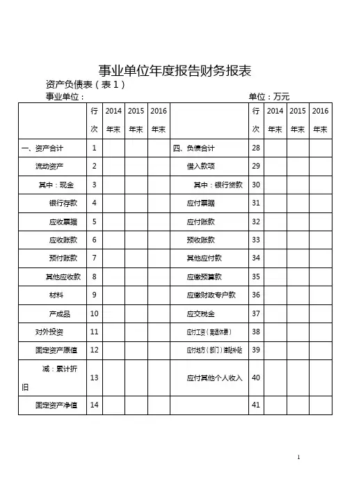 事业单位年度报告财务报表【模板】