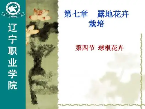 花卉生产学-第七章 露地花卉栽培(第四节 球根花卉栽培)