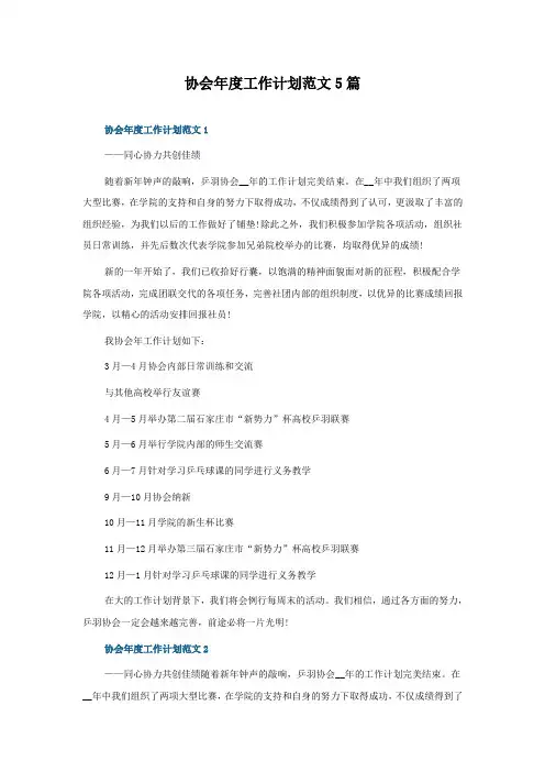 协会年度工作计划范文5篇