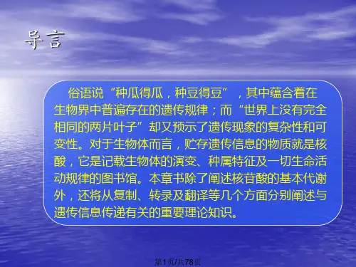 核酸代谢与蛋白质生物合成
