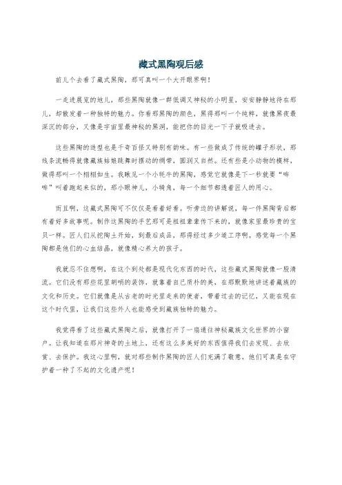 藏式黑陶观后感