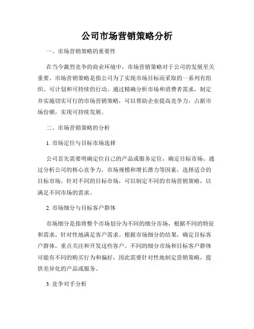 公司市场营销策略分析