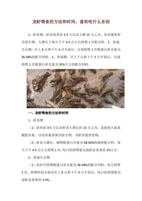 龙虾喂食的方法和时间,喜欢吃什么东西
