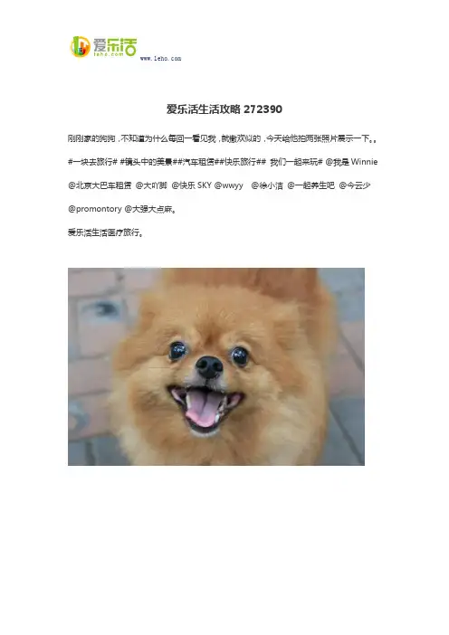 爱乐活生活攻略272390