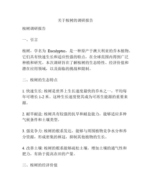 关于桉树的调研报告