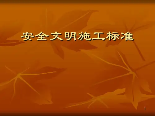 安全文明施工标准化施工ppt课件