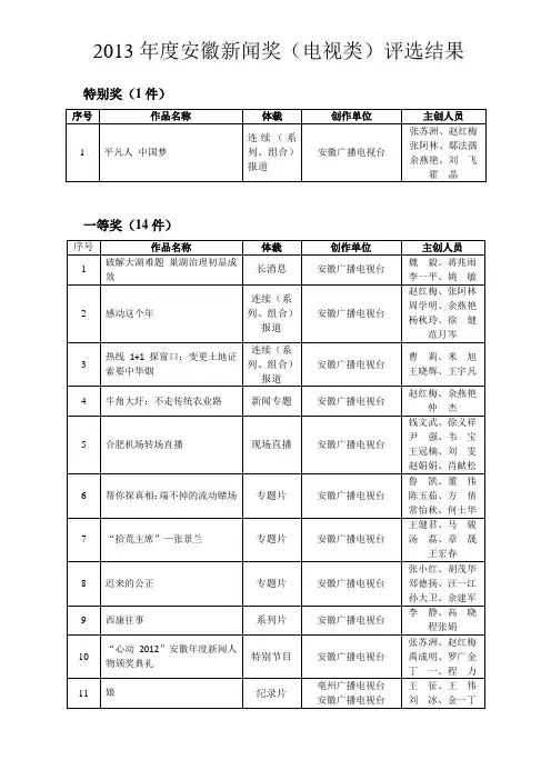 安徽电视新闻奖(新闻类)